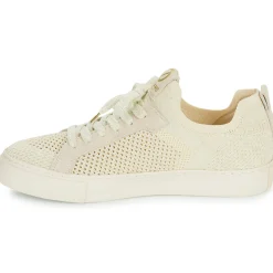 No Name - ARCADE FLY W