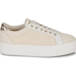 No Name - PLATO M BRIDGE