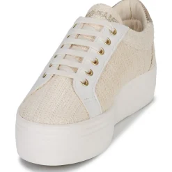 No Name - PLATO M BRIDGE