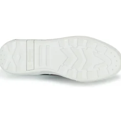 Palladium - EGO 03 NPA