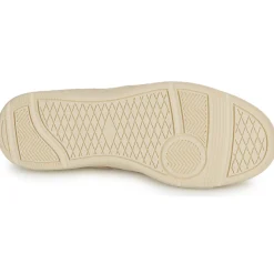 Palladium - PALLACUP FLAME LTH