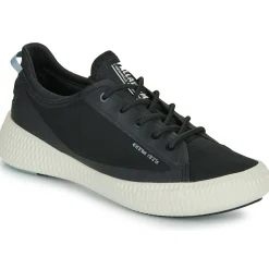 Palladium - PALLANOVA CVS