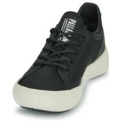 Palladium - PALLANOVA CVS