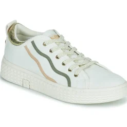 Palladium - PALLATEMPO 02 CVS