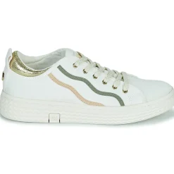 Palladium - PALLATEMPO 02 CVS