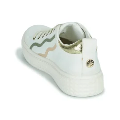 Palladium - PALLATEMPO 02 CVS