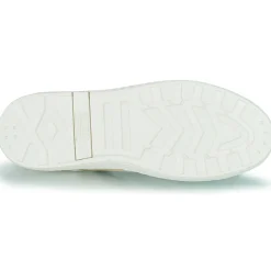 Palladium - PALLATEMPO 02 CVS