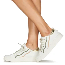 Palladium - PALLATEMPO 02 CVS