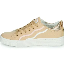 Palladium - PALLATEMPO 02 CVS