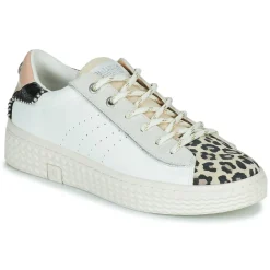 Palladium - pallatempo 02 cvs