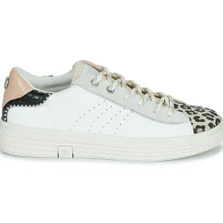 Palladium - pallatempo 02 cvs