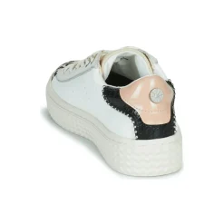 Palladium - pallatempo 02 cvs