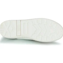 Palladium - pallatempo 02 cvs