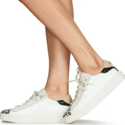 Palladium - pallatempo 02 cvs