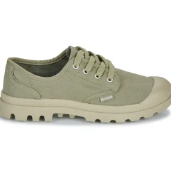 Palladium - PAMPA OX