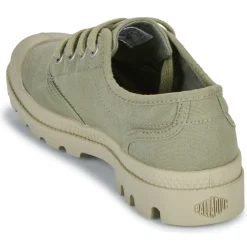 Palladium - PAMPA OX