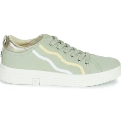 Palladium - TEMPO 02 CVS~VERVEINE~M