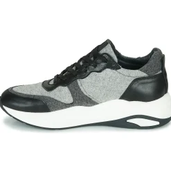 Pataugas - FRIDA F2F