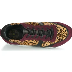 Pataugas - IDOL/I F4E