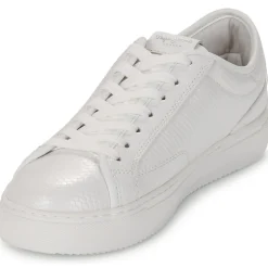 Pepe jeans - ADAMS SNAKY