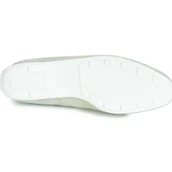 Peter Kaiser - ALJONA