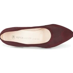 Peter Kaiser - HERNA