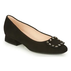 Peter Kaiser - ZWONIZ