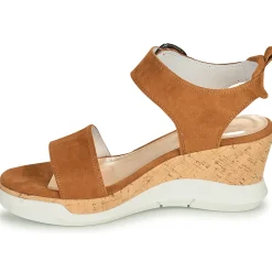 Philippe Morvan - AMOR V1