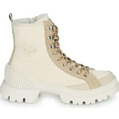 Philippe Morvan - CORTEX