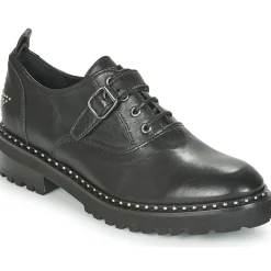 Philippe Morvan - DAILY V1 MAIA