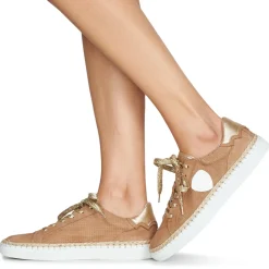 Philippe Morvan - GIFT