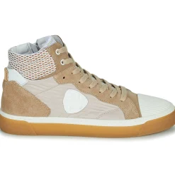 Philippe Morvan - HOXY