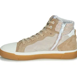 Philippe Morvan - HOXY