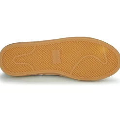 Philippe Morvan - HOXY