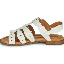 Pikolinos - ALGAR W0X