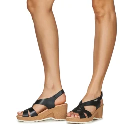 Pikolinos - ARENALES W3B