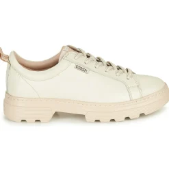 Pikolinos - ASTURIAS