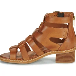 Pikolinos - BLANES W3H