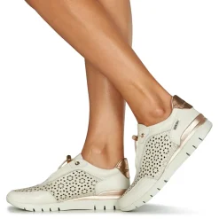 Pikolinos - CANTABRIA