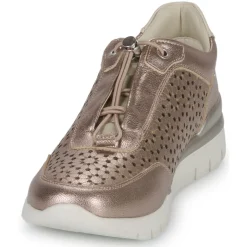 Pikolinos - CANTABRIA