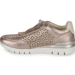 Pikolinos - CANTABRIA