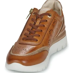 Pikolinos - CANTABRIA W4R