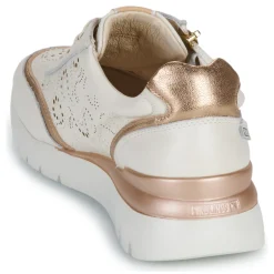 Pikolinos - CANTABRIA W4R