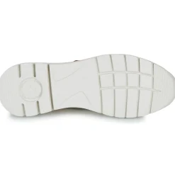 Pikolinos - CANTABRIA W4R