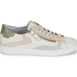 Pikolinos - LANZAROTE