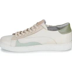 Pikolinos - LANZAROTE