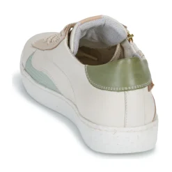 Pikolinos - LANZAROTE