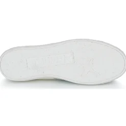 Pikolinos - LANZAROTE