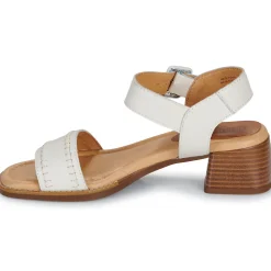 Pikolinos - OLIVA W2G