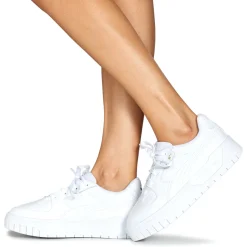 Puma - CALI DREAM LTH WNS